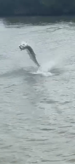 Fishing in Marco Island, Florida