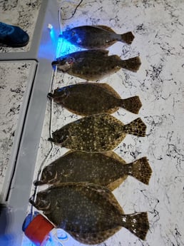 Flounder Fishing in Rio Hondo, Texas