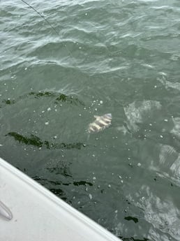 Fishing in Biloxi, Mississippi