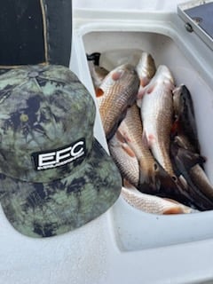 Redfish Fishing in Shell Beach, Louisiana