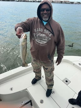 Fishing in Indian Rocks Beach, Florida