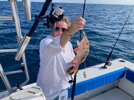 Mutton Snapper Fishing in West Palm Beach, Florida