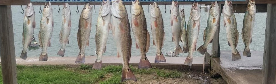 Redfish, Speckled Trout Fishing in Port Isabel, Texas