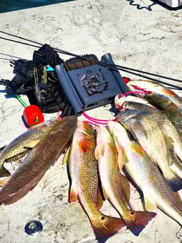 Fishing in Aransas Pass, Texas