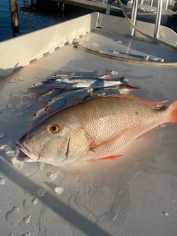 Fishing in Key West, Florida