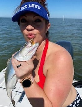 Speckled Trout / Spotted Seatrout fishing in San Leon, Texas