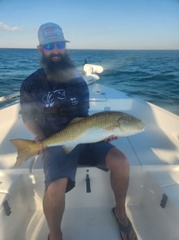 Redfish Fishing in Rockport, Texas