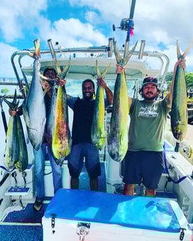 Mahi Mahi / Dorado, Yellowfin Tuna fishing in Kapa&#039;a, Hawaii