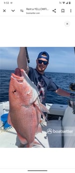 Fishing in Tierra Verde, Florida