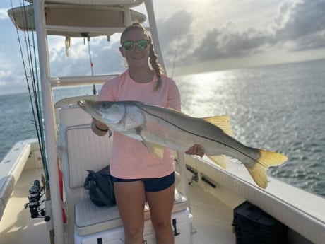 Snook Fishing in St. Petersburg, Florida