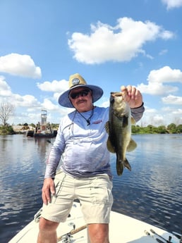 Largemouth Bass Fishing in Wellington, Florida