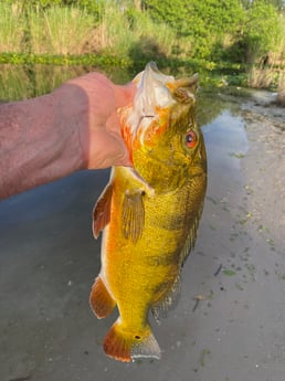 Fishing in West Palm Beach, Florida