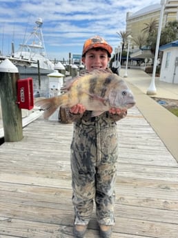 Fishing in Biloxi, Mississippi