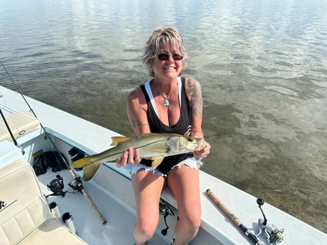 Snook Fishing in Big Pine Key, Florida