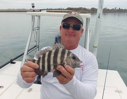 Sheepshead Fishing in St. Augustine, Florida