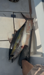 Fishing in Key West, Florida