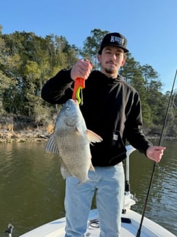 Black Drum Fishing in Summerdale, Alabama