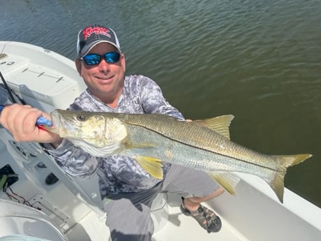 Fishing in St. Petersburg, Florida