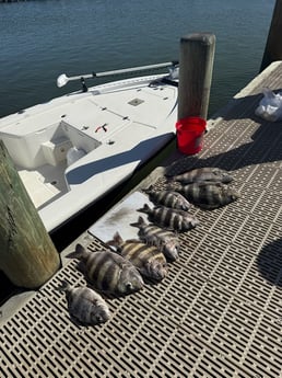Fishing in Summerdale, Alabama