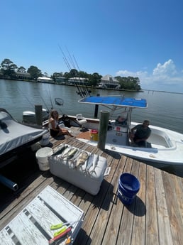 Fishing in Dauphin Island, Alabama