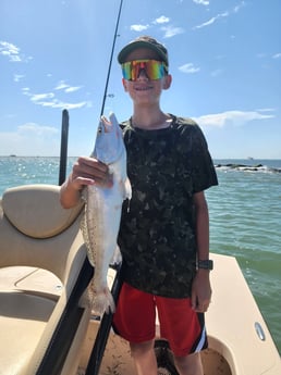 Speckled Trout / Spotted Seatrout fishing in Tiki Island, Texas