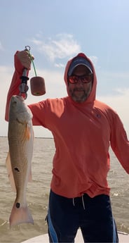 Tarpon fishing in Carolina, Carolina