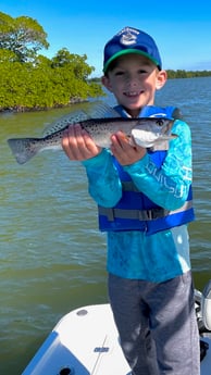 Speckled Trout / Spotted Seatrout fishing in Fort Myers Beach, Florida