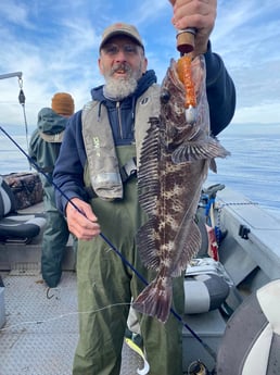 Lingcod Fishing in Hubbard, Oregon, USA