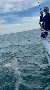 Fishing in Port Orange, Florida