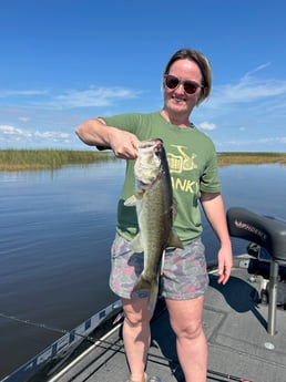 Largemouth Bass Fishing in