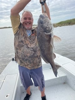 Black Drum Fishing in Shell Beach, Louisiana