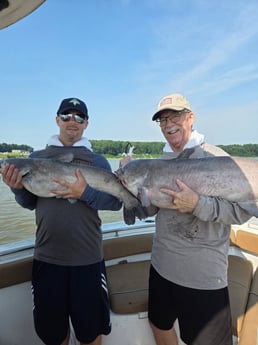 Fishing in Sandston, Virginia