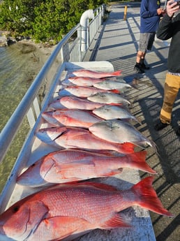 Fishing in Clearwater, Florida
