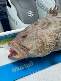 Fishing in Madeira Beach, Florida