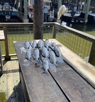 Speckled Trout Fishing in Texas City, Texas