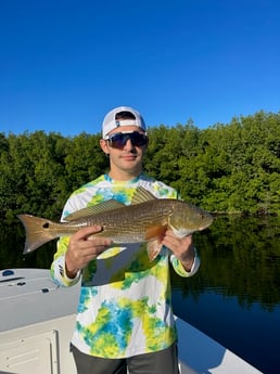Redfish Fishing in Tampa, Florida