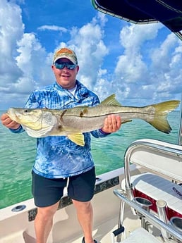 Snook Fishing in Sarasota, Florida