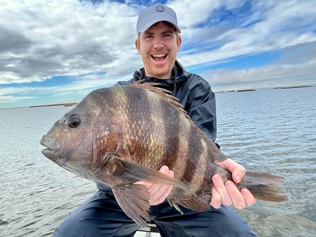 Sheepshead Fishing in New Orleans, Louisiana