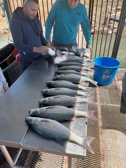 Fishing in Tow, Texas