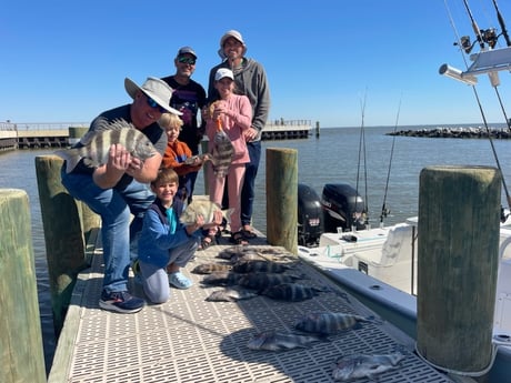 Sheepshead Fishing in