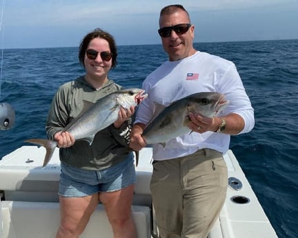 Amberjack Fishing in Panama City, Florida