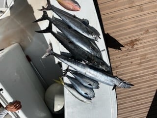 Fishing in Fort Lauderdale, Florida