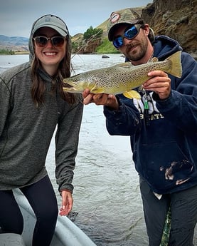 Brown Trout fishing in Deer Lodge, Montana