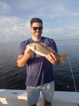 Fishing in Lafitte, Louisiana