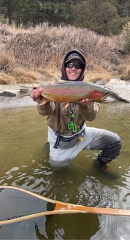 Cutthroat Trout fishing in Deer Lodge, Montana
