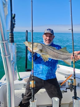 Fishing in Sarasota, Florida