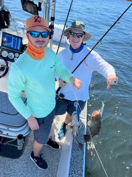 Gag Grouper Fishing in Holmes Beach, Florida