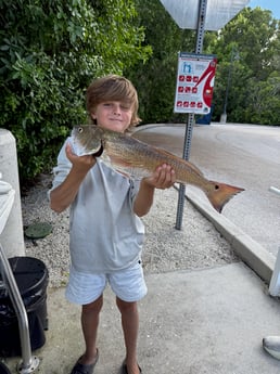 Fishing in Marco Island, Florida