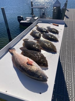 Fishing in Pensacola, Florida