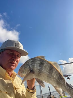 Fishing in Loxahatchee, Florida
